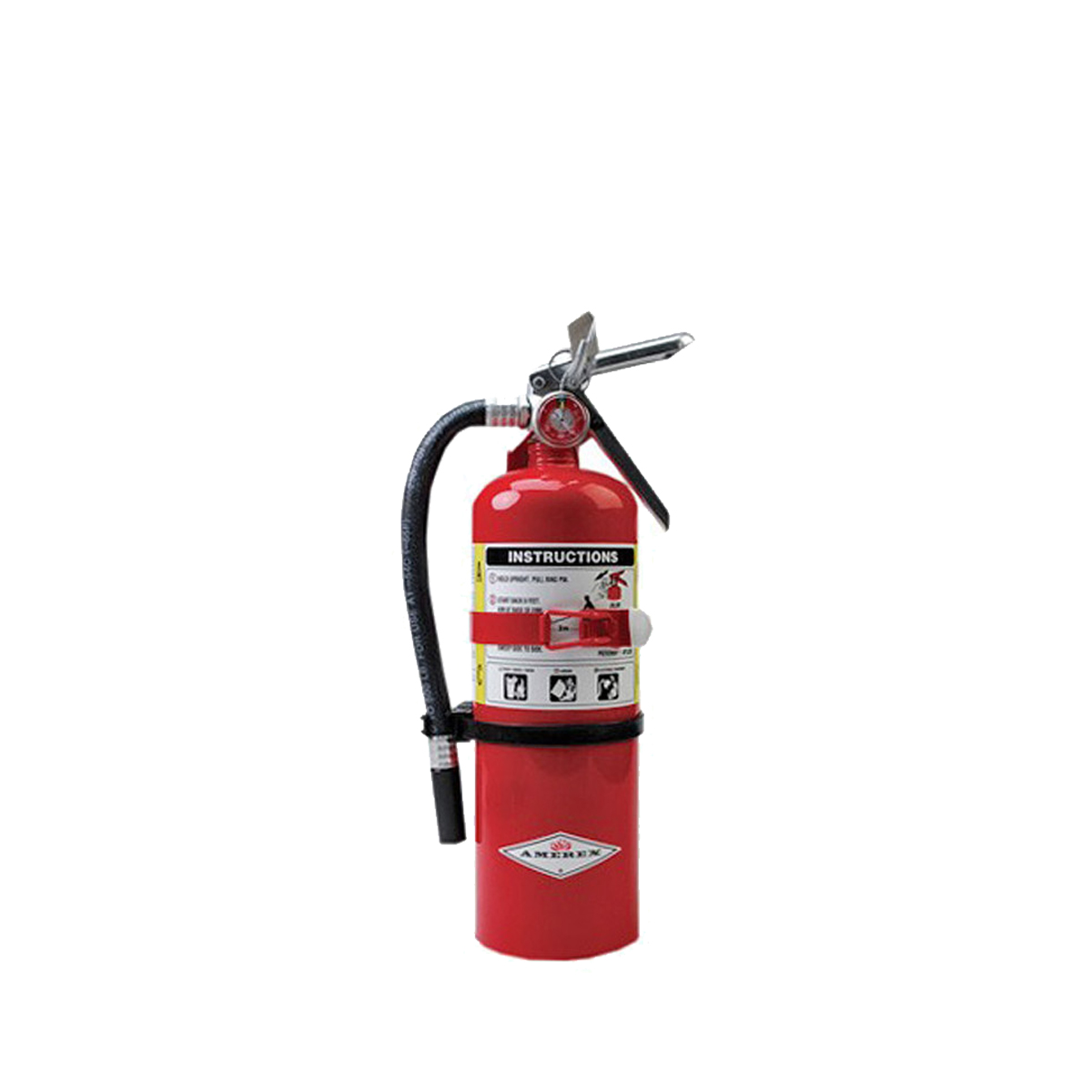 ●DANGEROUS GOODZ ABC Dry Chemical Extinguishers - 5 lbs. | Shop Darley